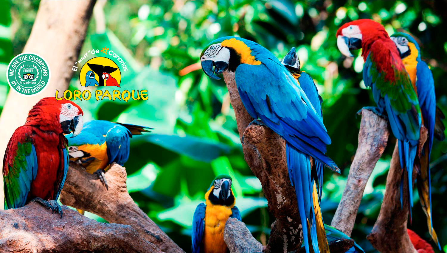 Loro Parque
